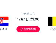 关于克罗地亚输给比利时，欧锦赛备战遭遇波折的信息
